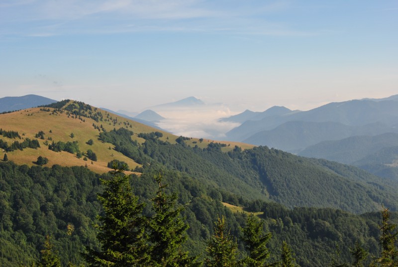 pepajs.cz